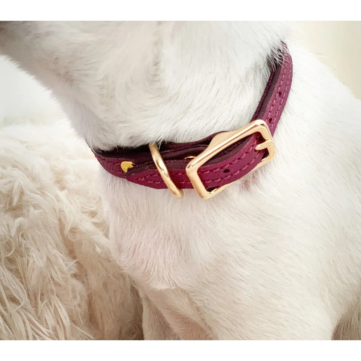 Beverly Classic Leather Dog Collar Amethyst