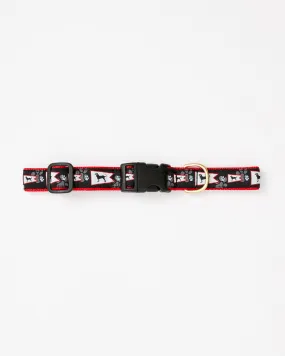 Black Dog Burgee Dog Collar