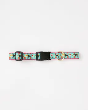 Black Dog Flower Power Dog Collar