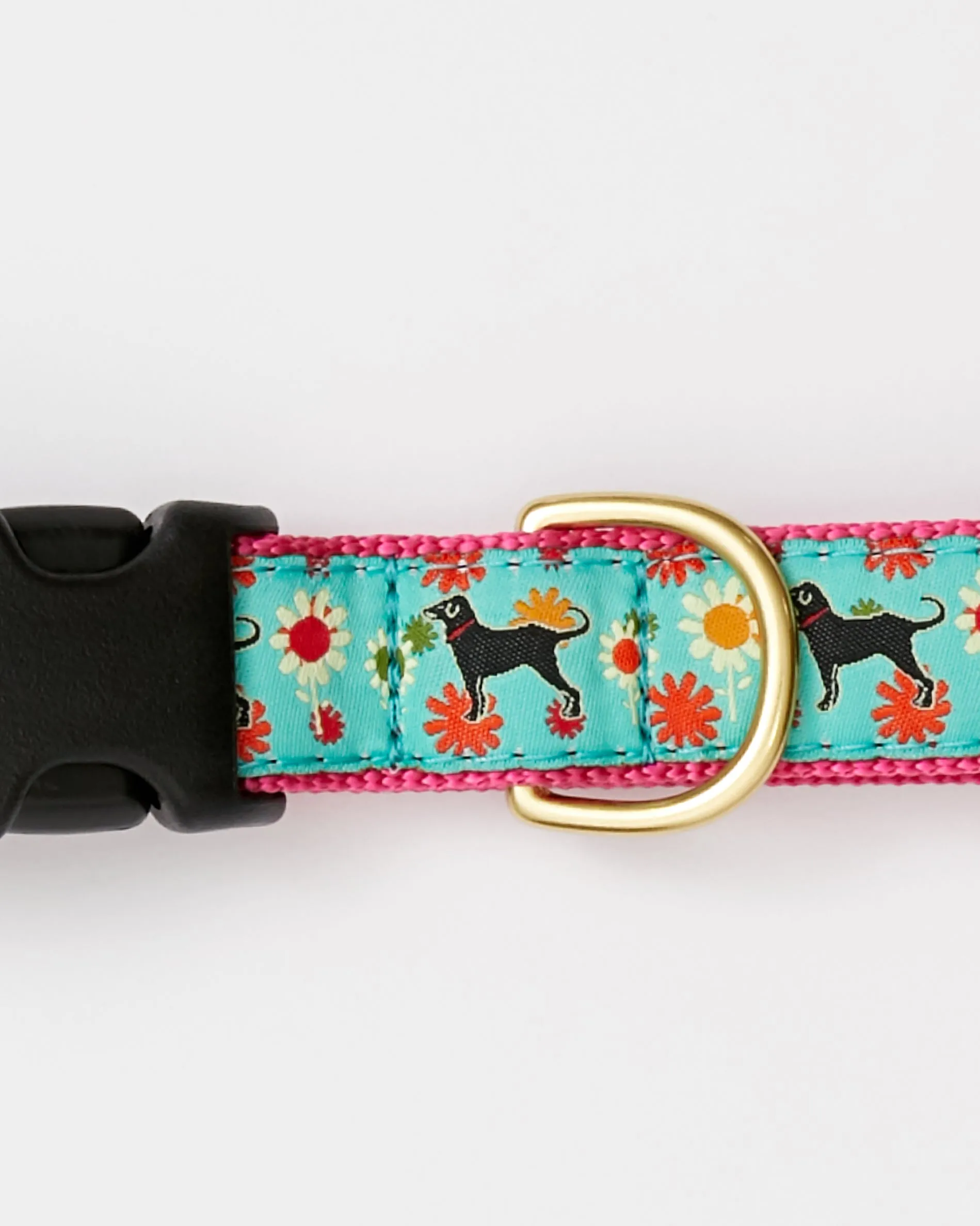 Black Dog Flower Power Dog Collar