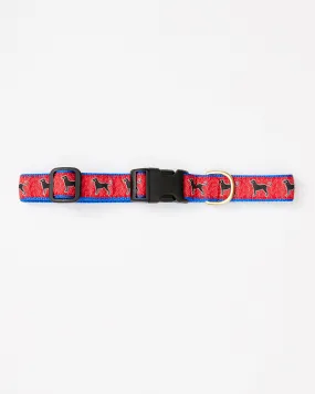 Black Dog Puzzle Dog Collar