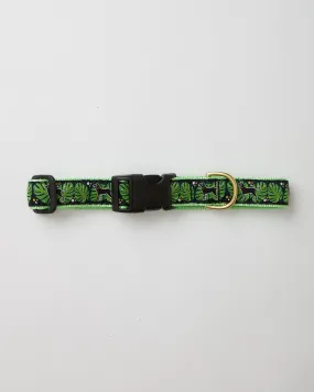 Black Dog Tropical Dog Collar