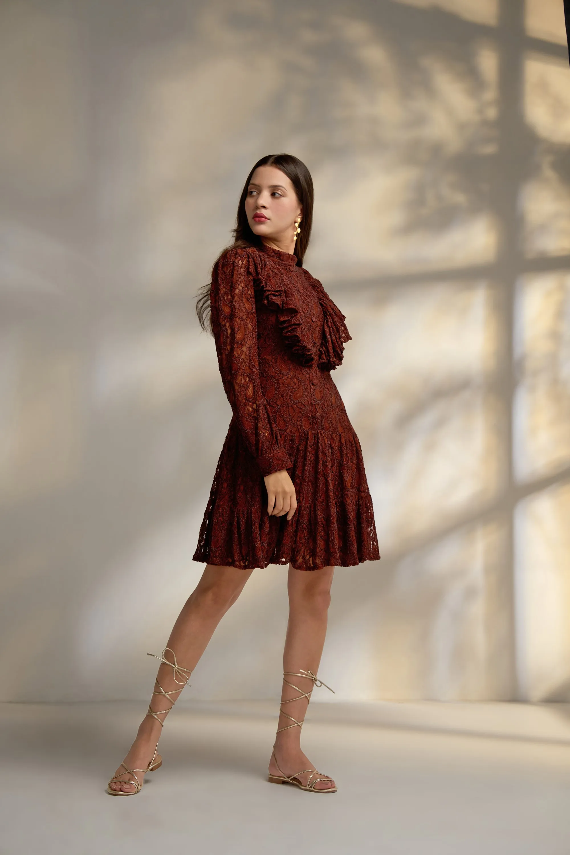 Brown Lace full sleeves Structured Mini Dress