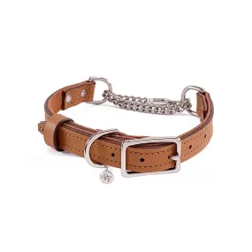 Colima Martingale Leather Dog Collar Hazelnut