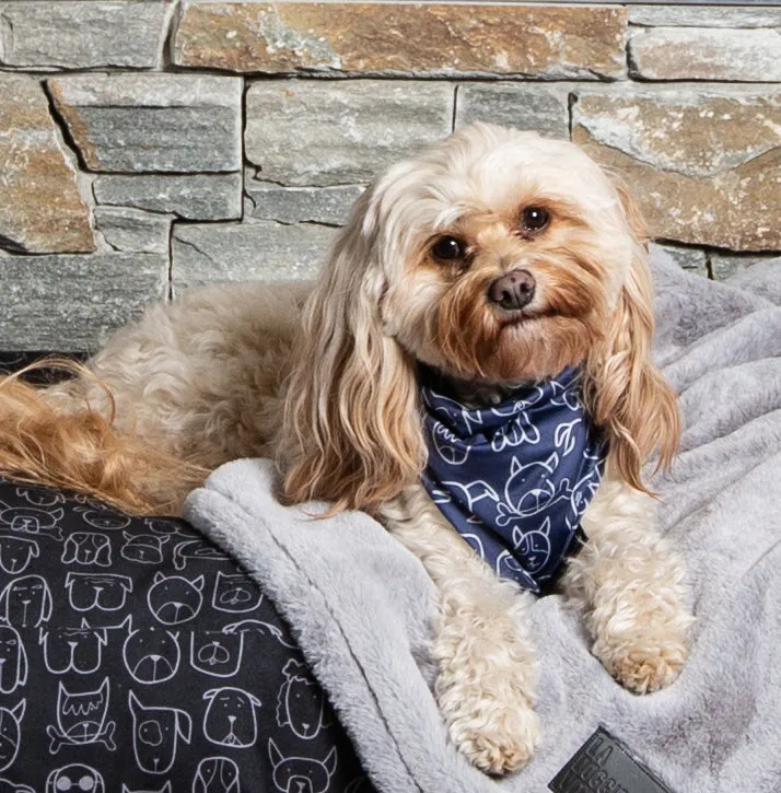 Dog Central Indigo Bandana