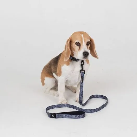 Dog Central Indigo Collar