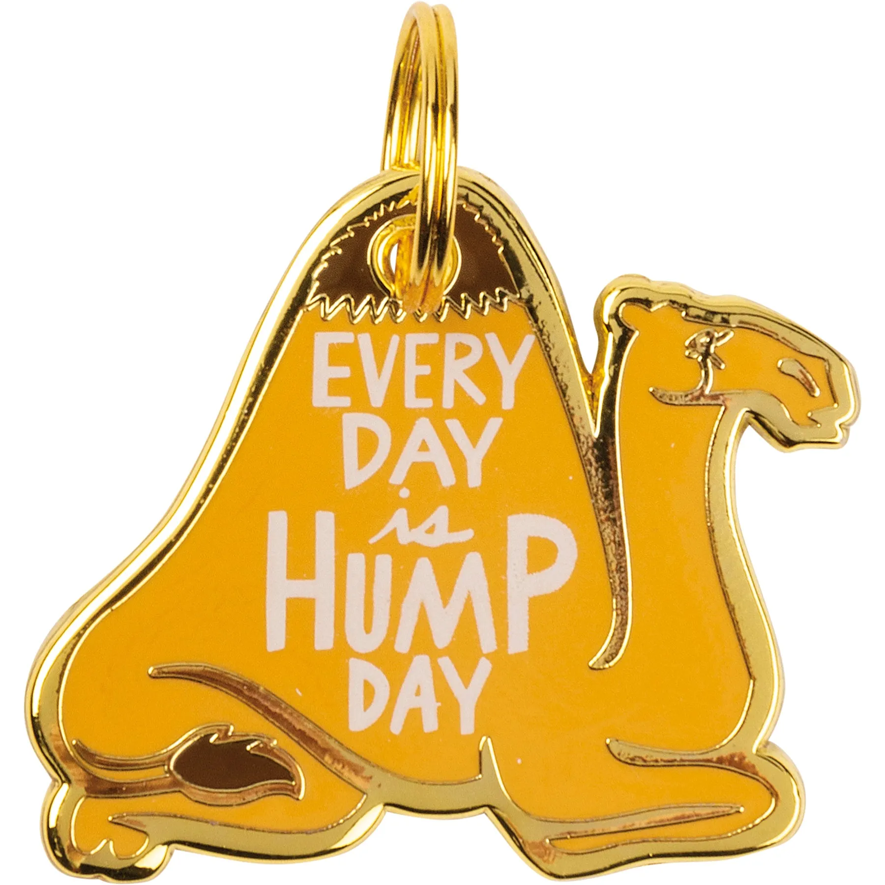 Every Day Is Hump Day Collar Charm