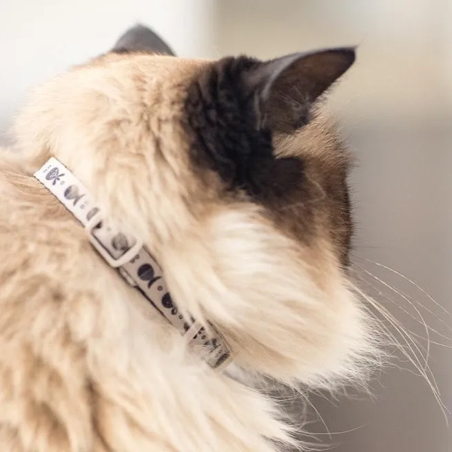 Go Fish Taupe/Black Cat Collar