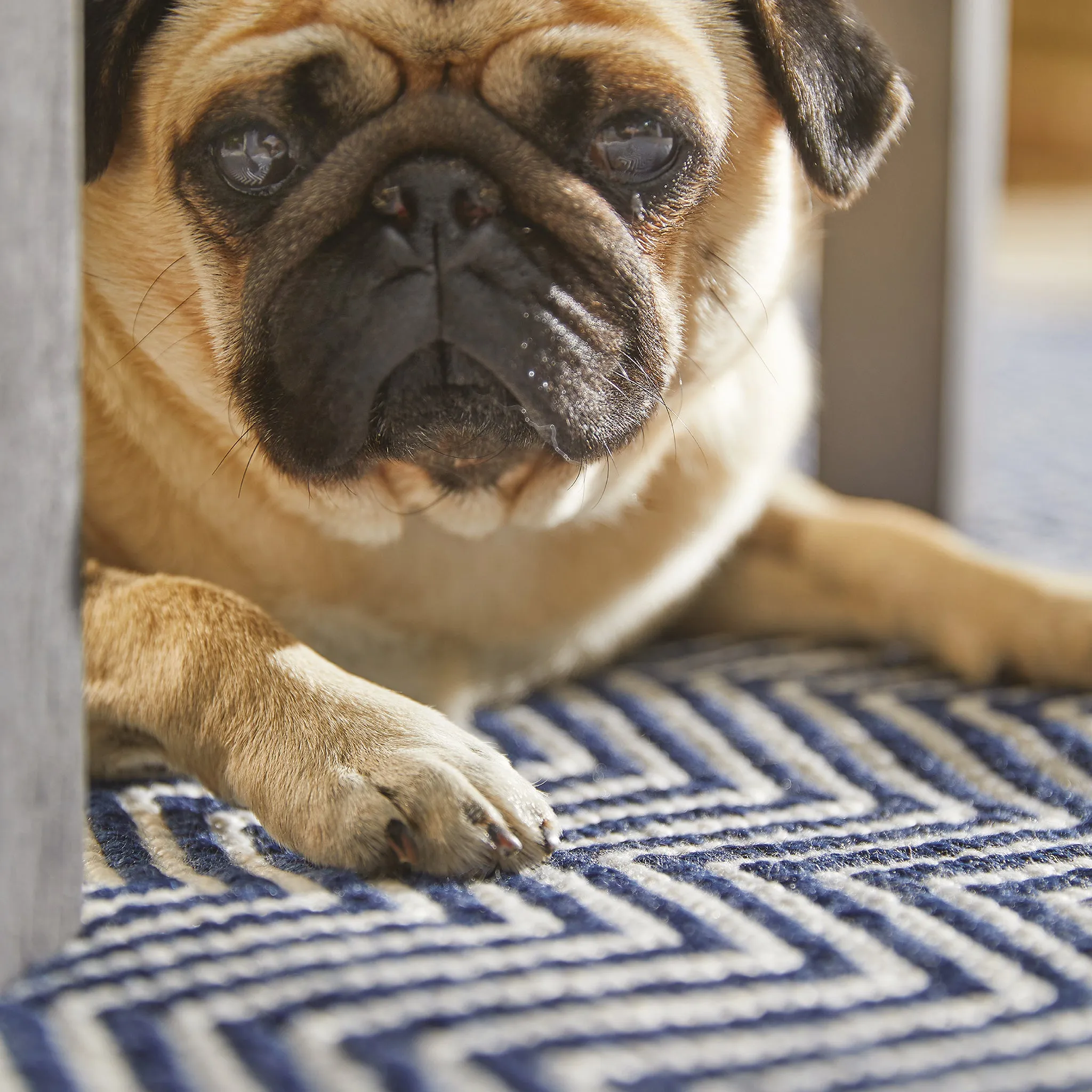 Herringbone Washable Rug Navy