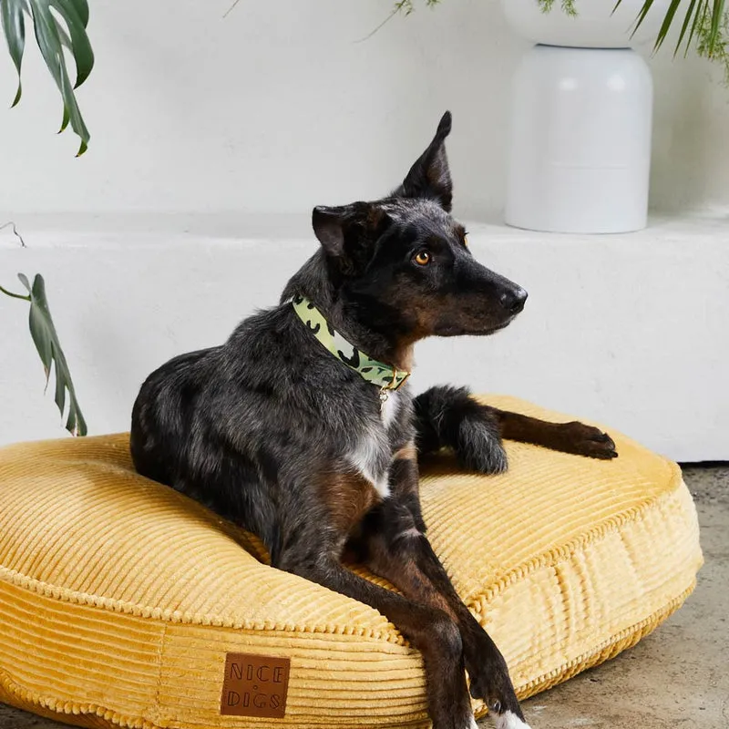 Nice Digs Leather Collar - Pistachio Animal