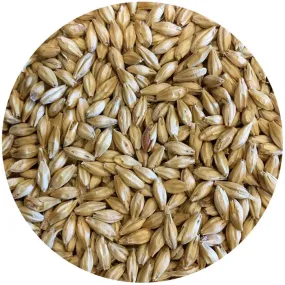 Pilsen Malt - Czech Prostejov Malting - 55lb Sack