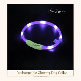 Rechargeable Glowing Dog Collar