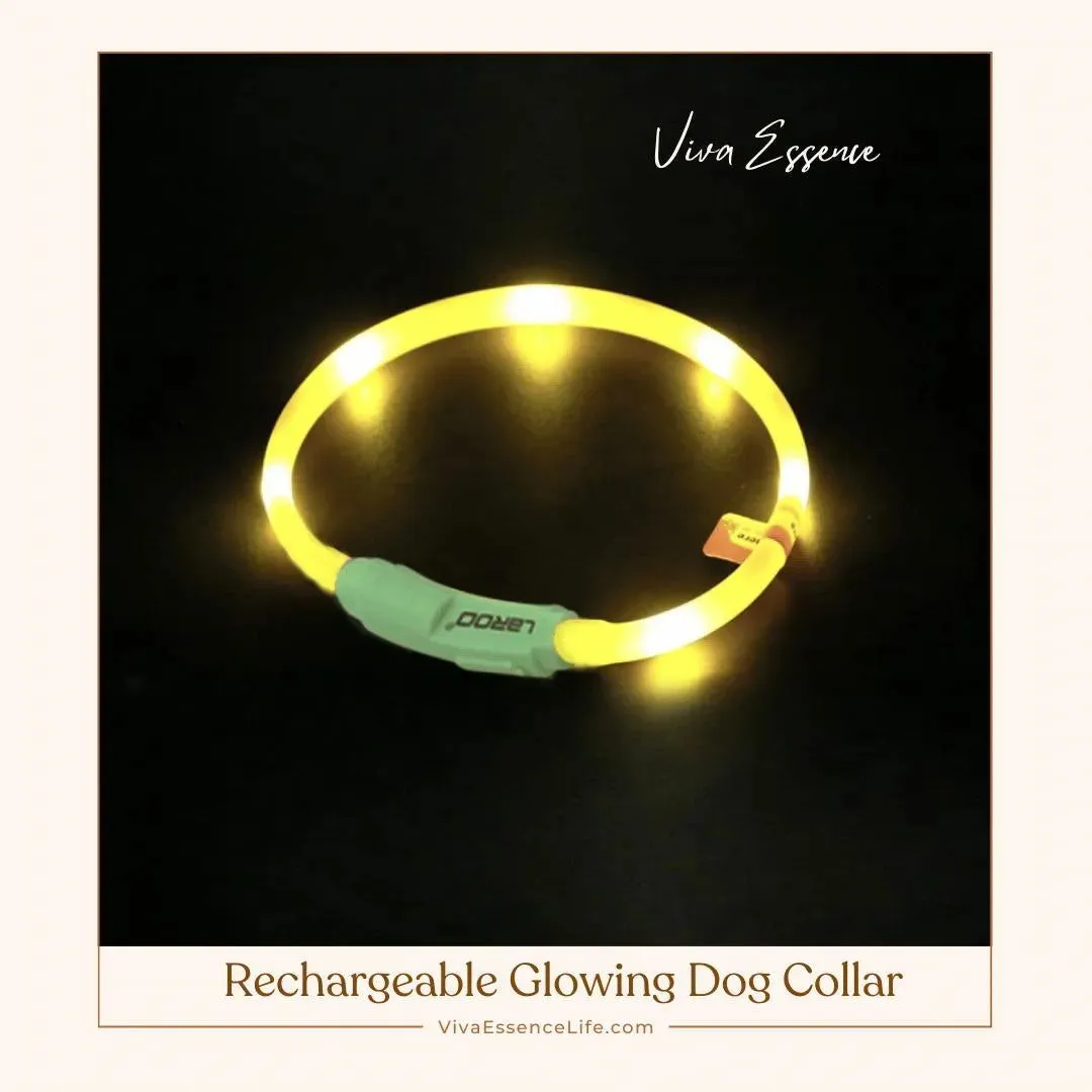 Rechargeable Glowing Dog Collar