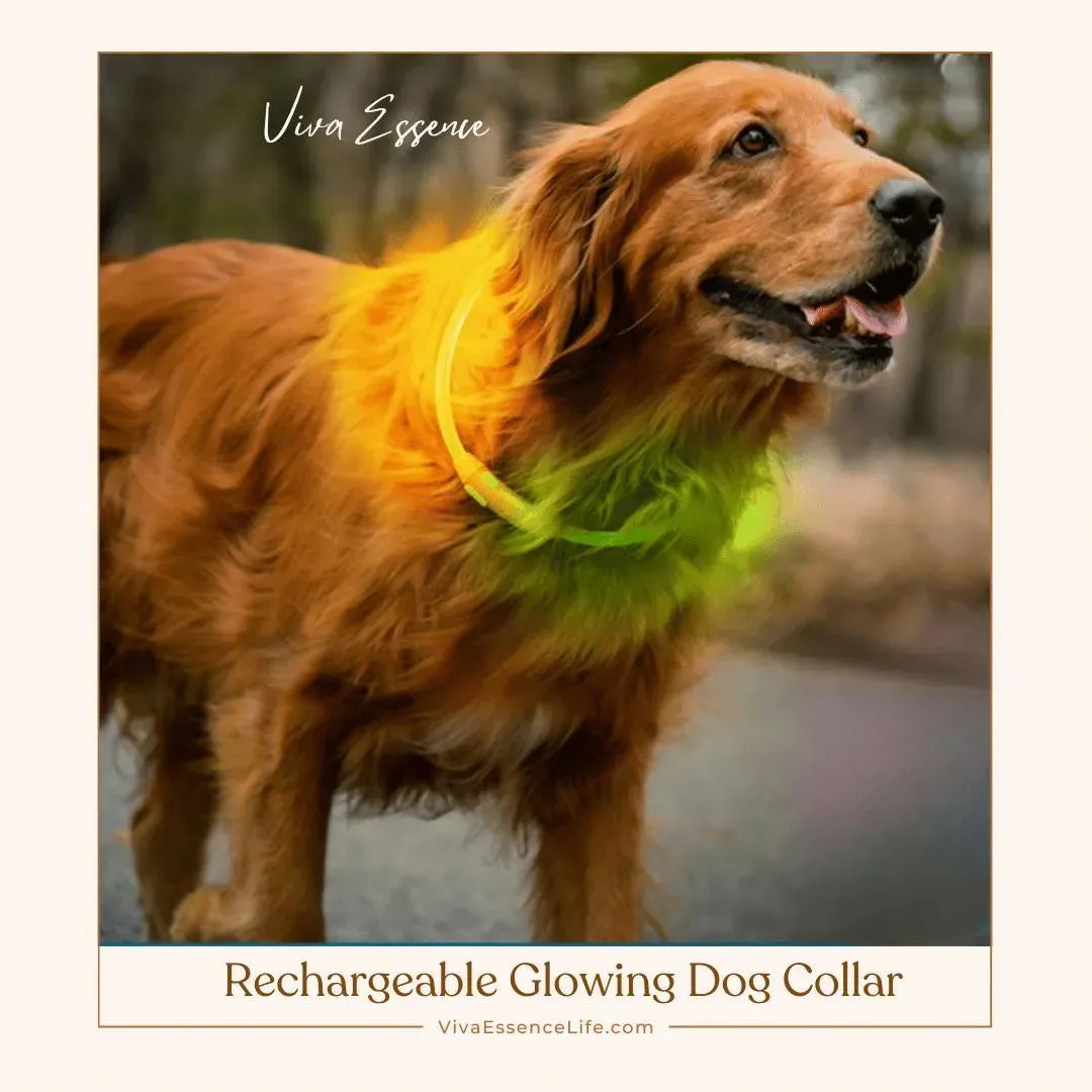 Rechargeable Glowing Dog Collar