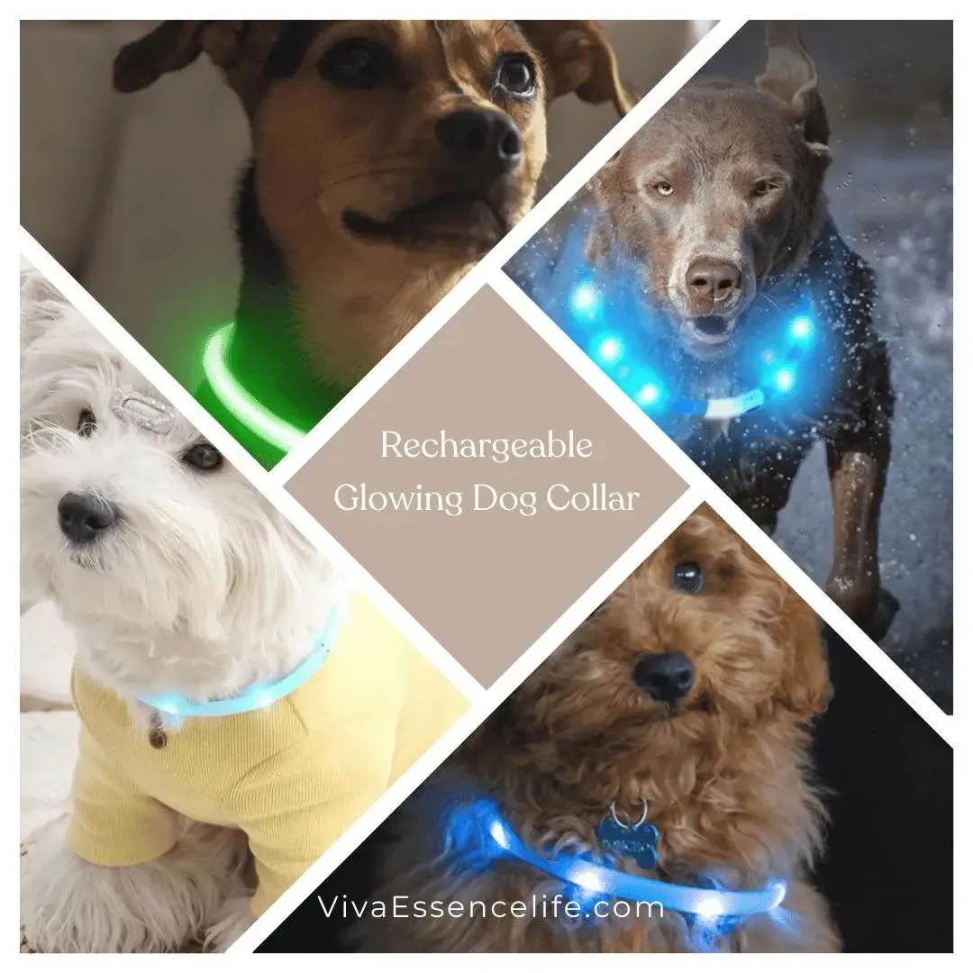 Rechargeable Glowing Dog Collar