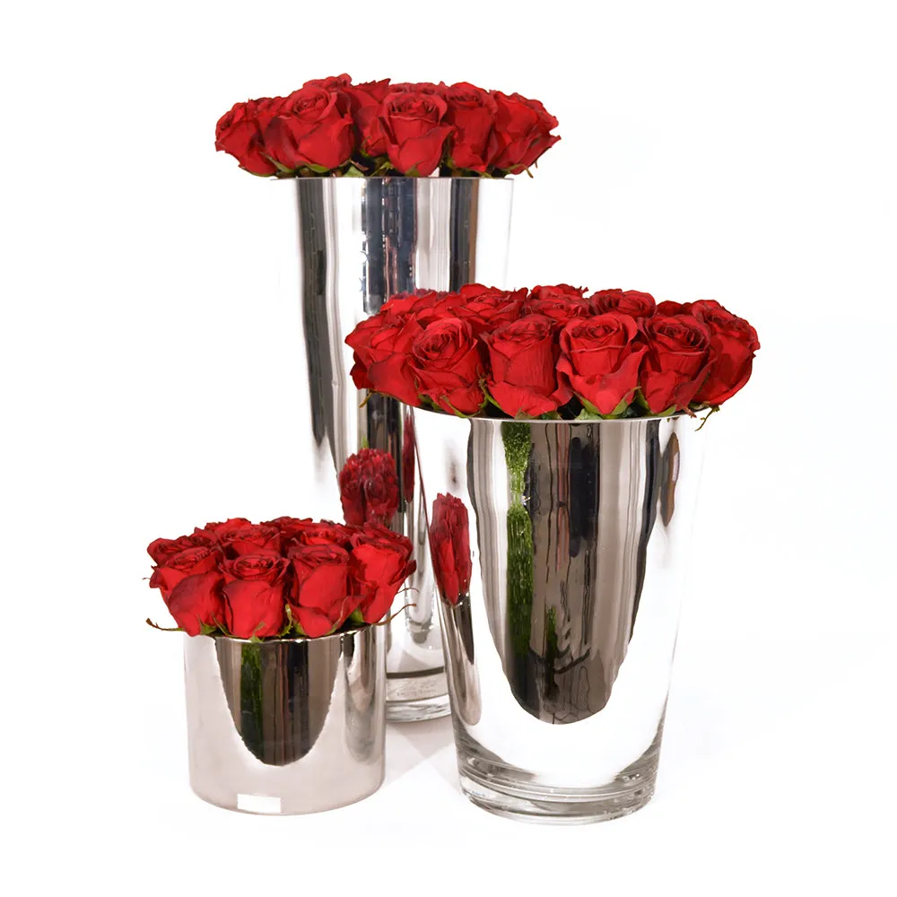 Red Roses Silver Conical Vase • 2 sizes