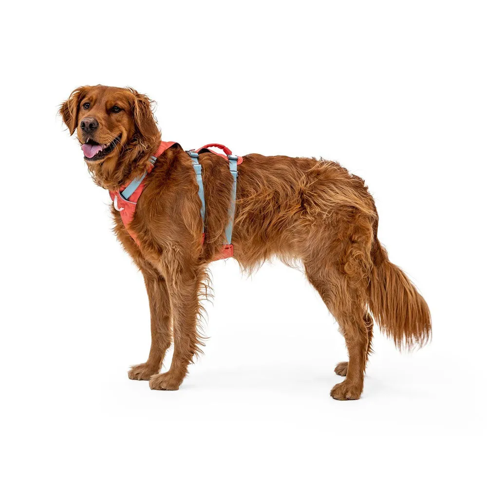 Ruffwear Flagline Lightweight No-Pull Handled Dog Harness (Salmon Pink)