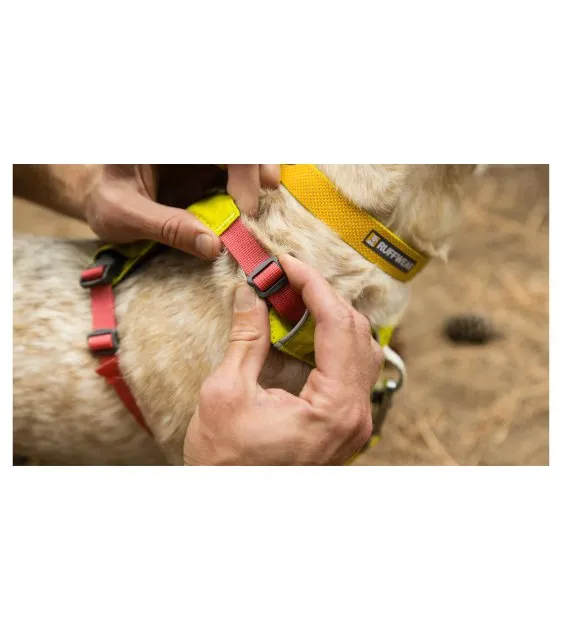 Ruffwear Hi & Light™ Lightweight Dog Harness (Lichen Green)