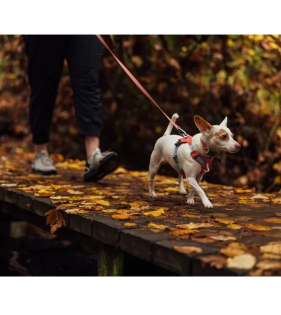 Ruffwear Hi & Light™ Lightweight Dog Harness (Salmon Pink)